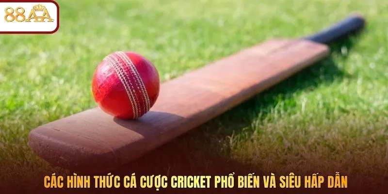 Các hình thức cá cược Cricket phổ biến và siêu hấp dẫn