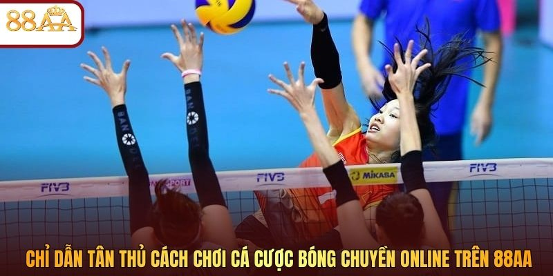 Chỉ dẫn tân thủ cách chơi cá cược bóng chuyền online trên 88AA