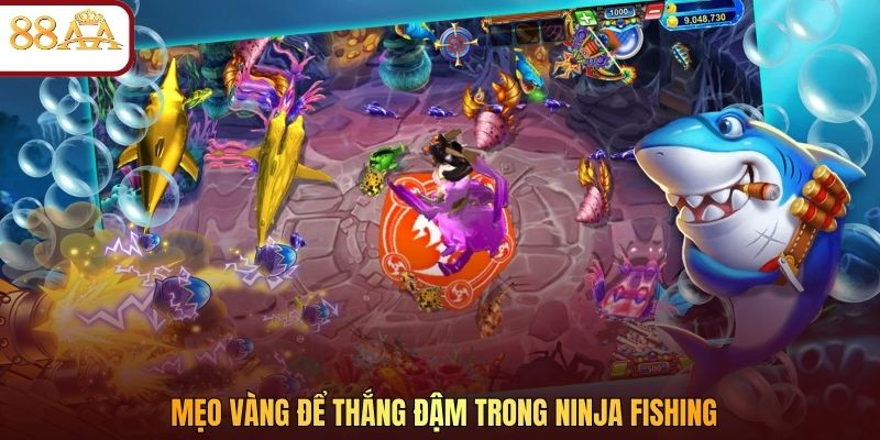 Mẹo vàng để thắng đậm trong Ninja Fishing