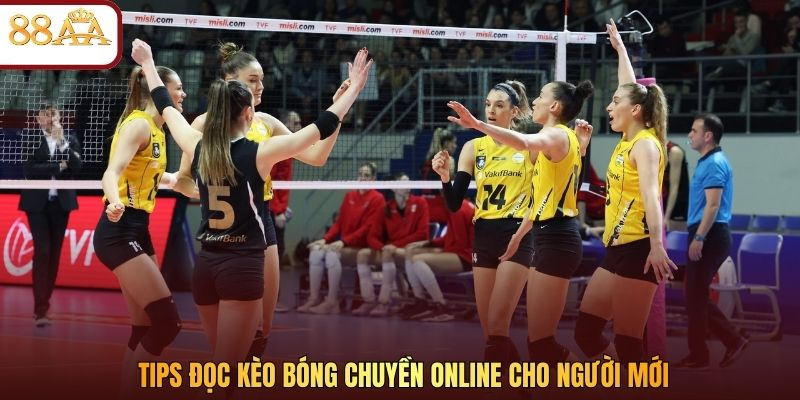 Tips đọc kèo bóng chuyền online cho người mới
