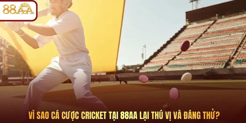 Vì sao cá cược Cricket tại 88AA lại thú vị và đáng thử?
